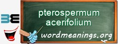 WordMeaning blackboard for pterospermum acerifolium